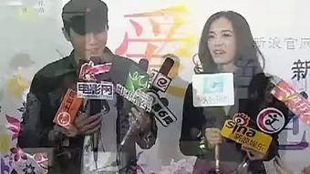 成人 激情 视频 小说,揭秘成人世界的情感纠葛与欲望释放