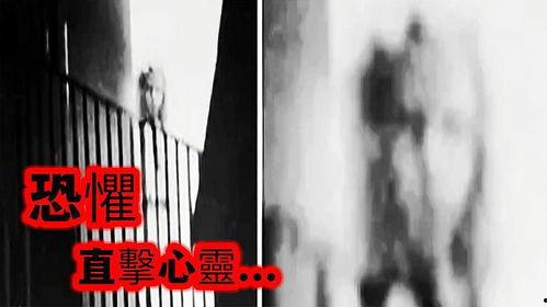 成人午夜禁视频,揭秘成人视频的隐秘角落