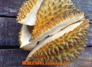 成人榴莲视频18禁,成人榴莲视频揭秘