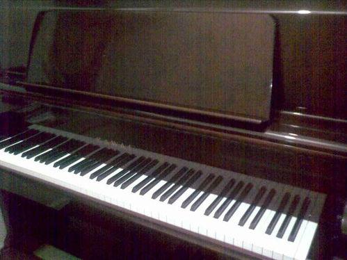 成人钢琴演奏视频